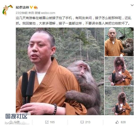 延参法师 评 这几天有游客在峨眉山被猴子抢了