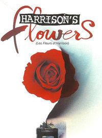 哈里逊之花